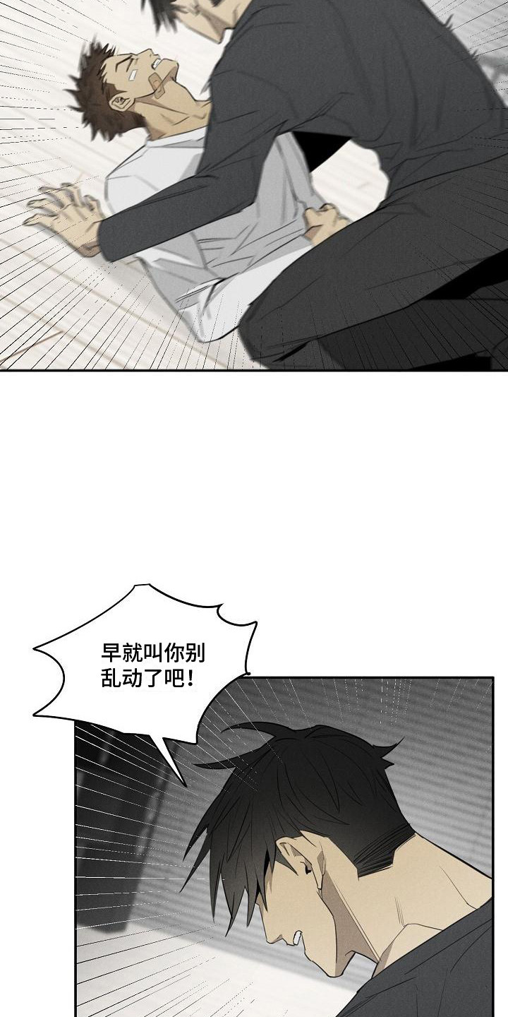 第6章：宠物医院3