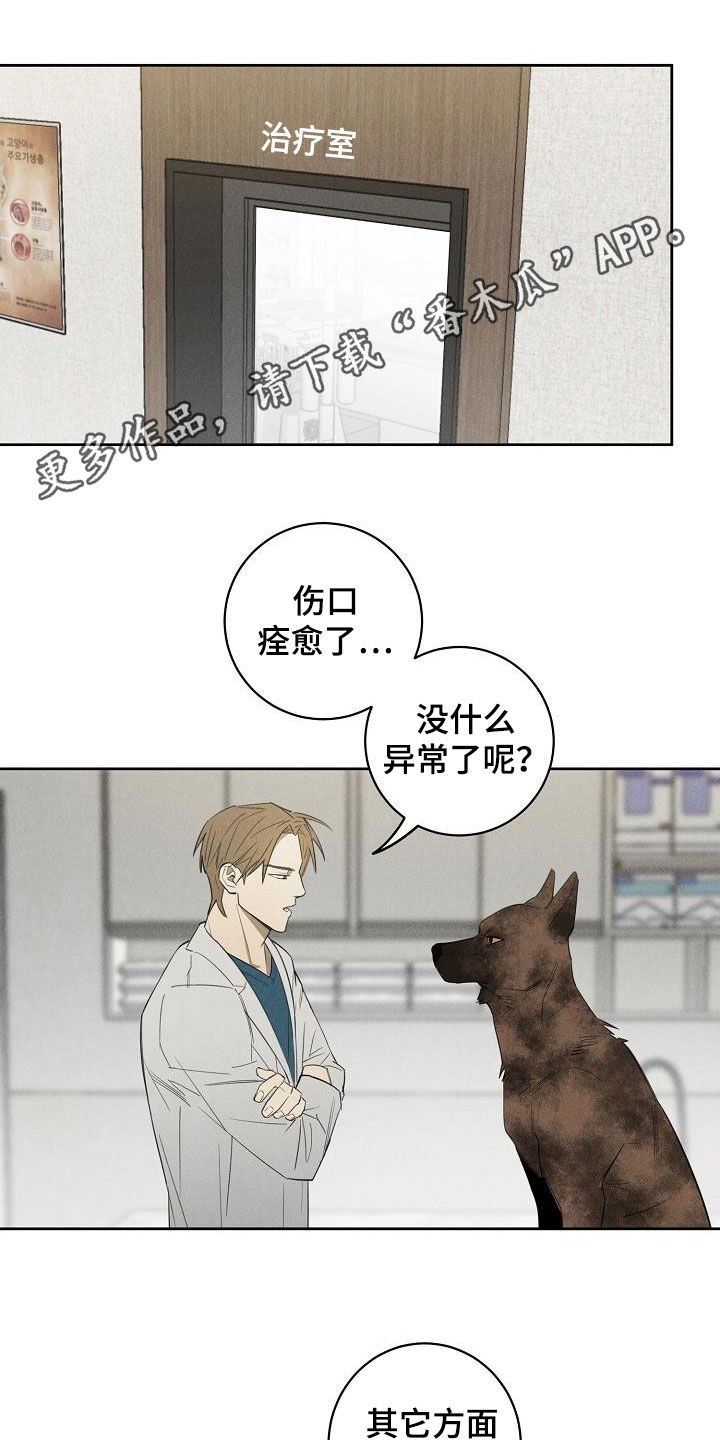 第14章：挽回的机会0