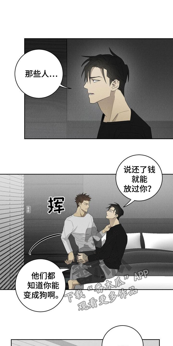 第17章：相片3
