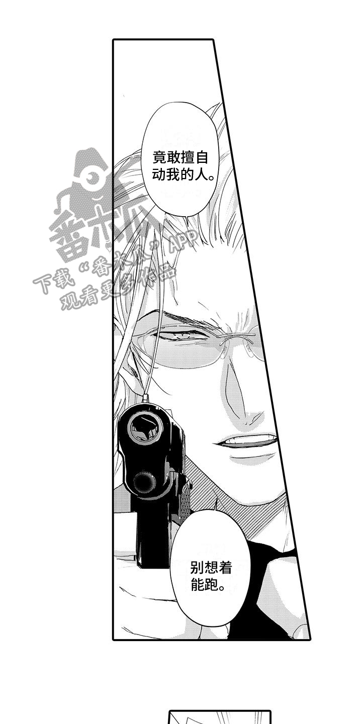 第19章：来龙去脉0