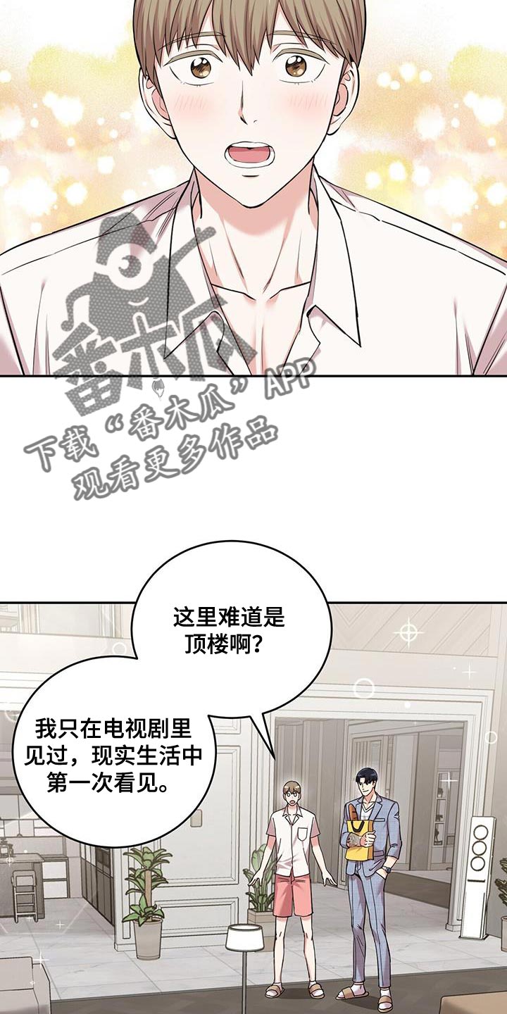 第38章：逗猫1