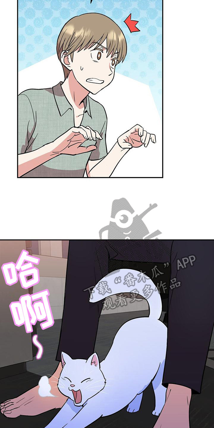 第8章：概括要点1