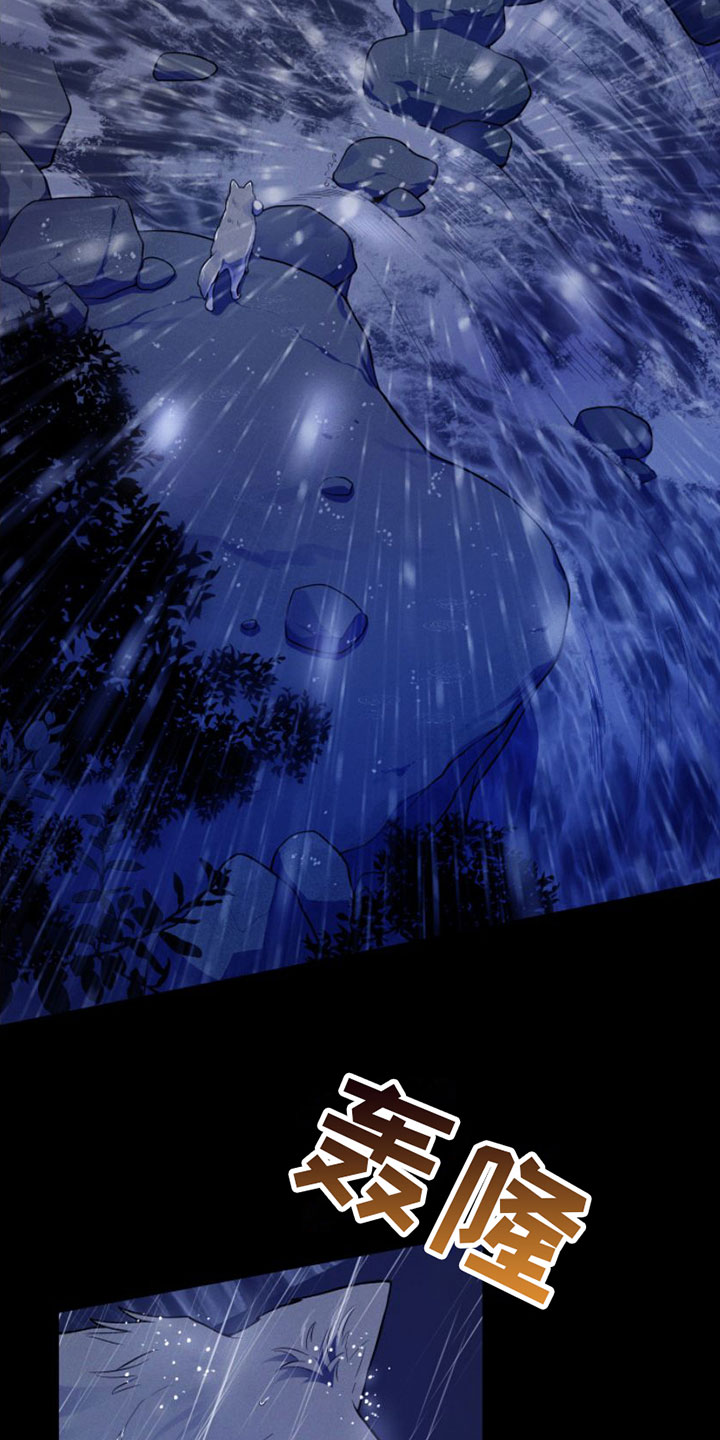 第1章：兔子救狼1