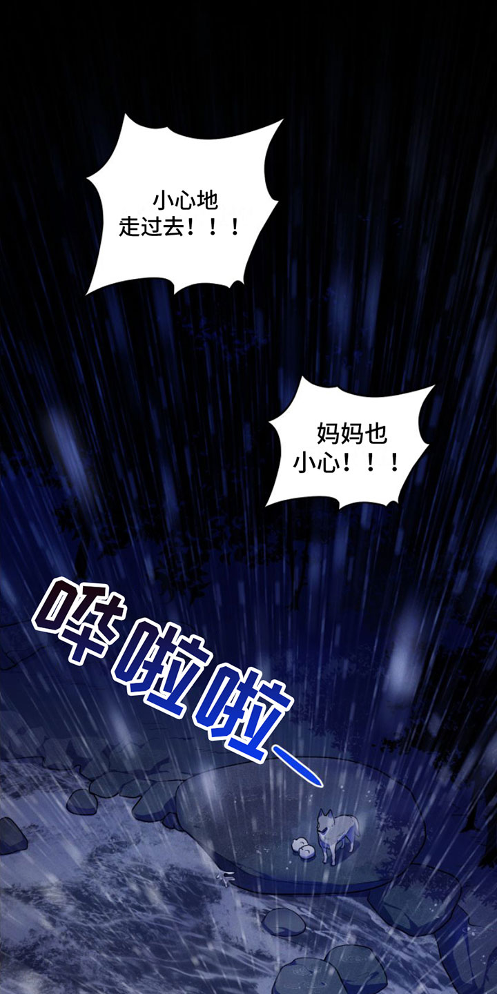 第1章：兔子救狼0