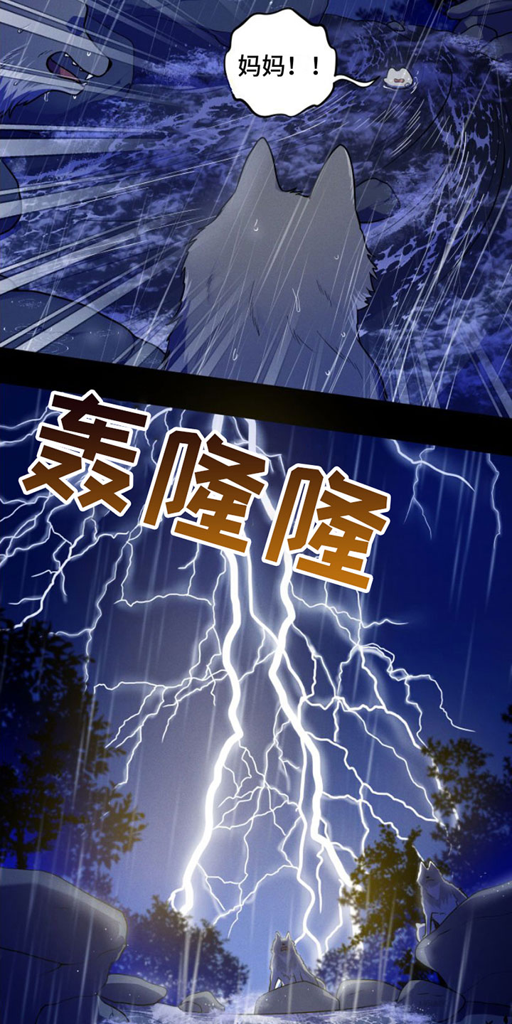 第1章：兔子救狼4