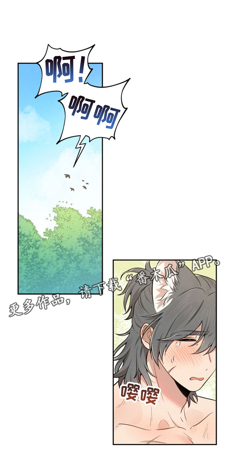 第5章：回山里去0