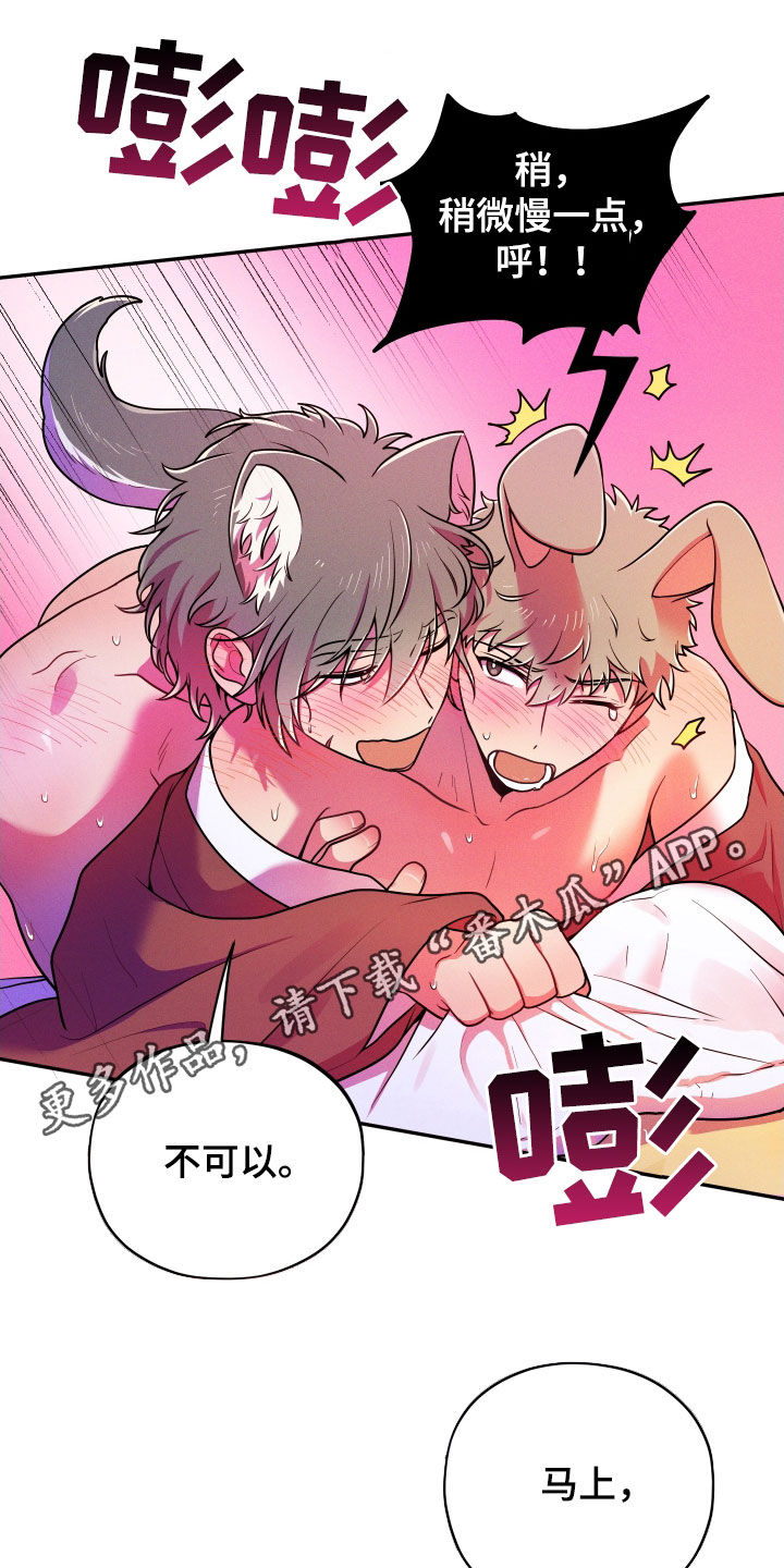 第17章：【番外】幸福就好0