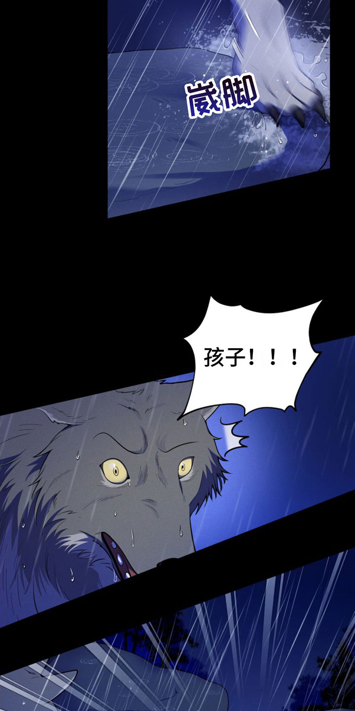 第1章：兔子救狼3