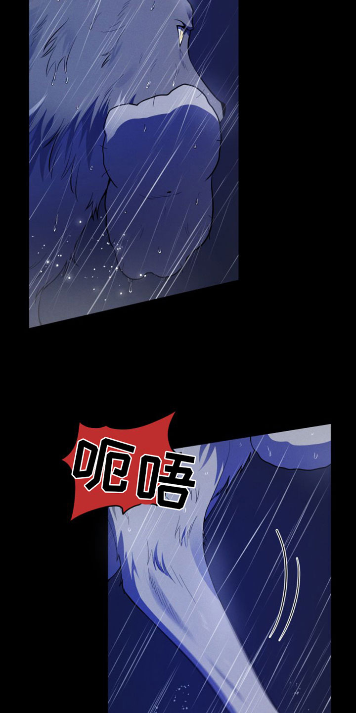 第1章：兔子救狼2