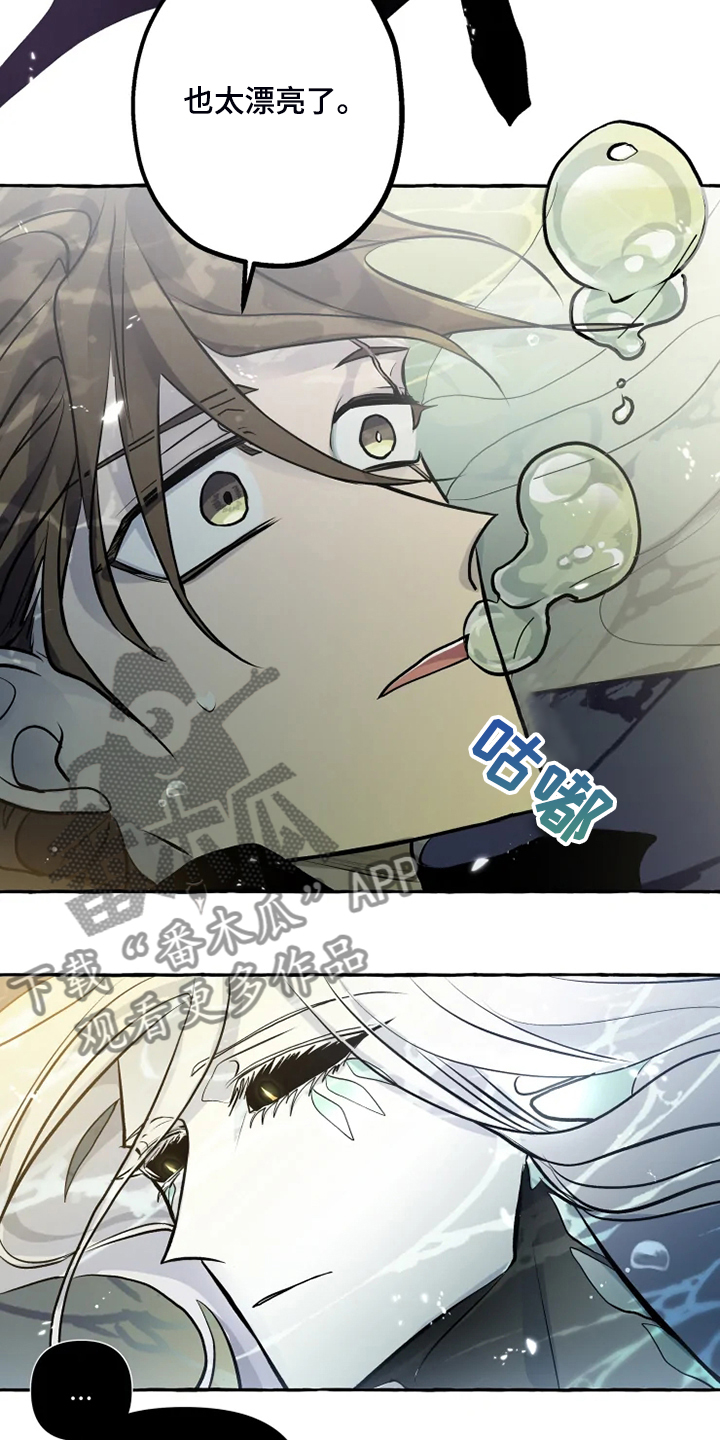 第40章：生命的敬畏2