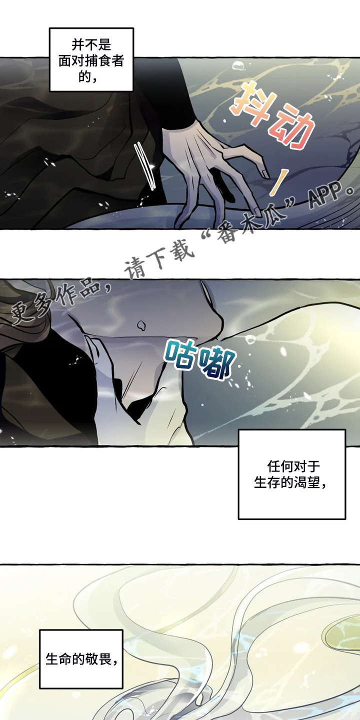第40章：生命的敬畏0