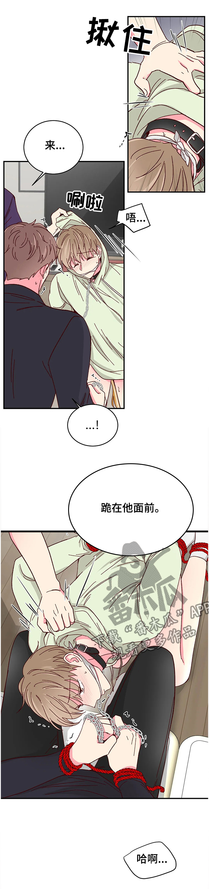 第109章：【第二季】终于到来0