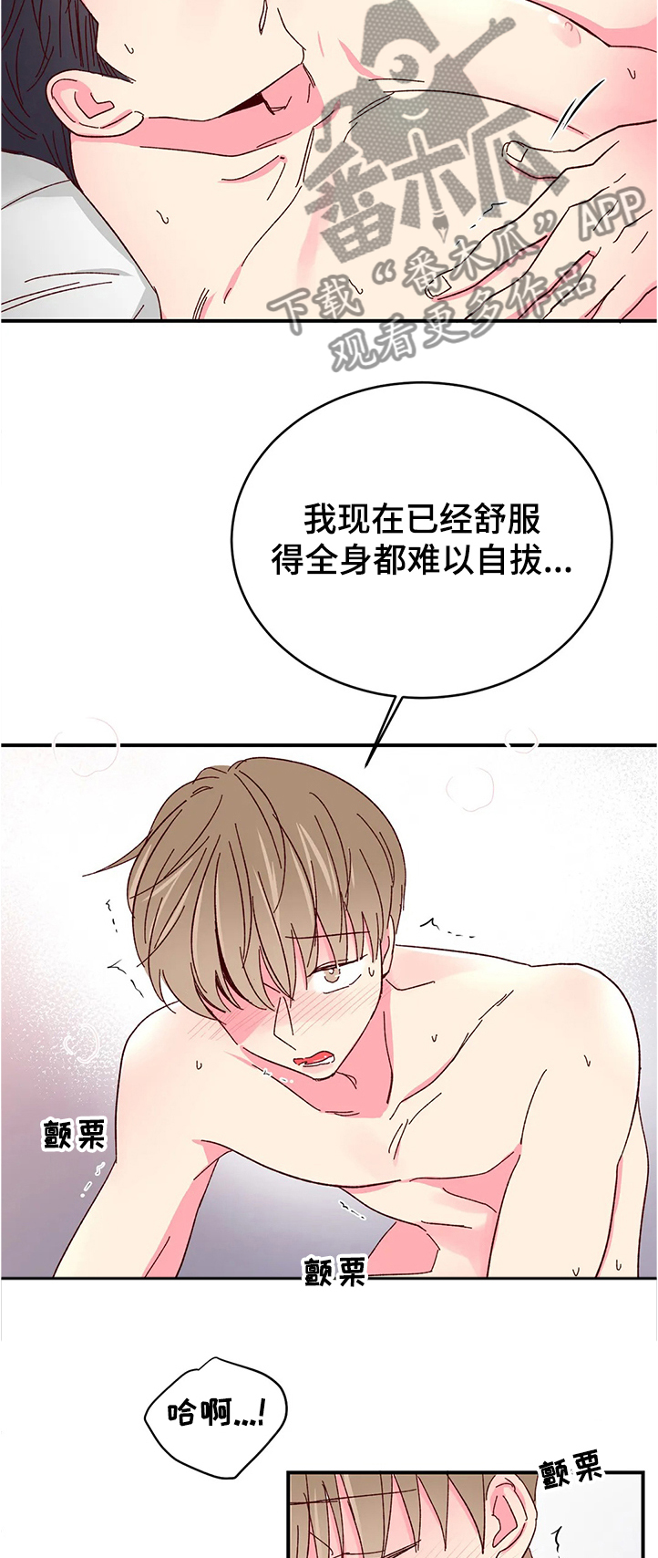 第91章：【第二季】轮到我了2