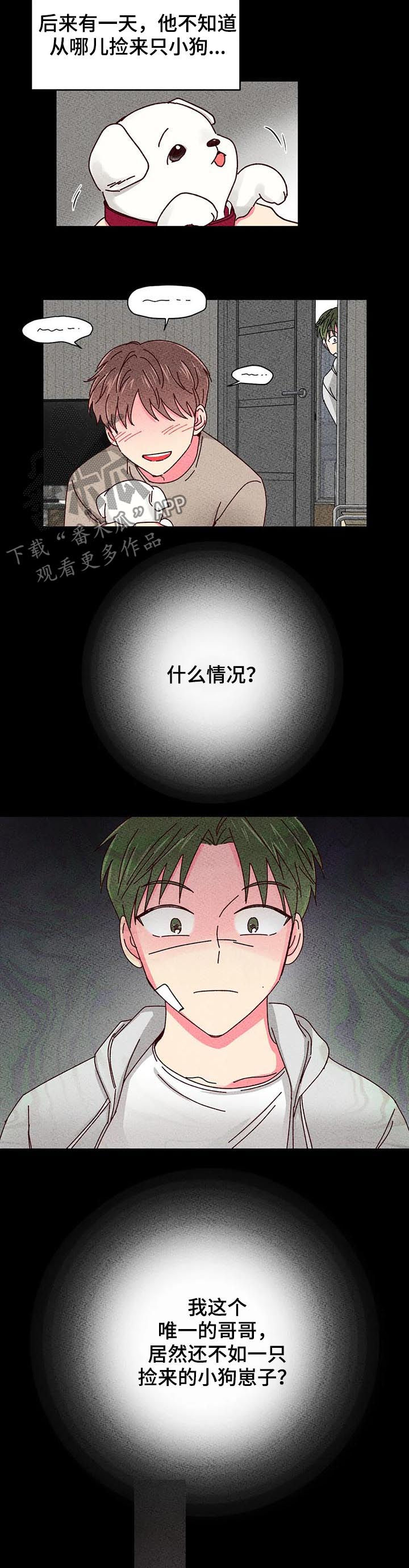 第52章：有好戏看2