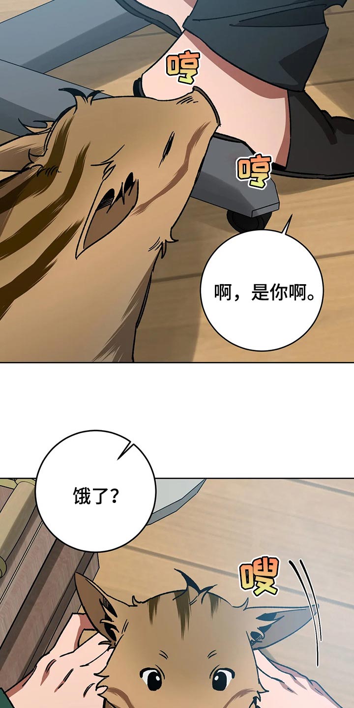 第109章：视线2