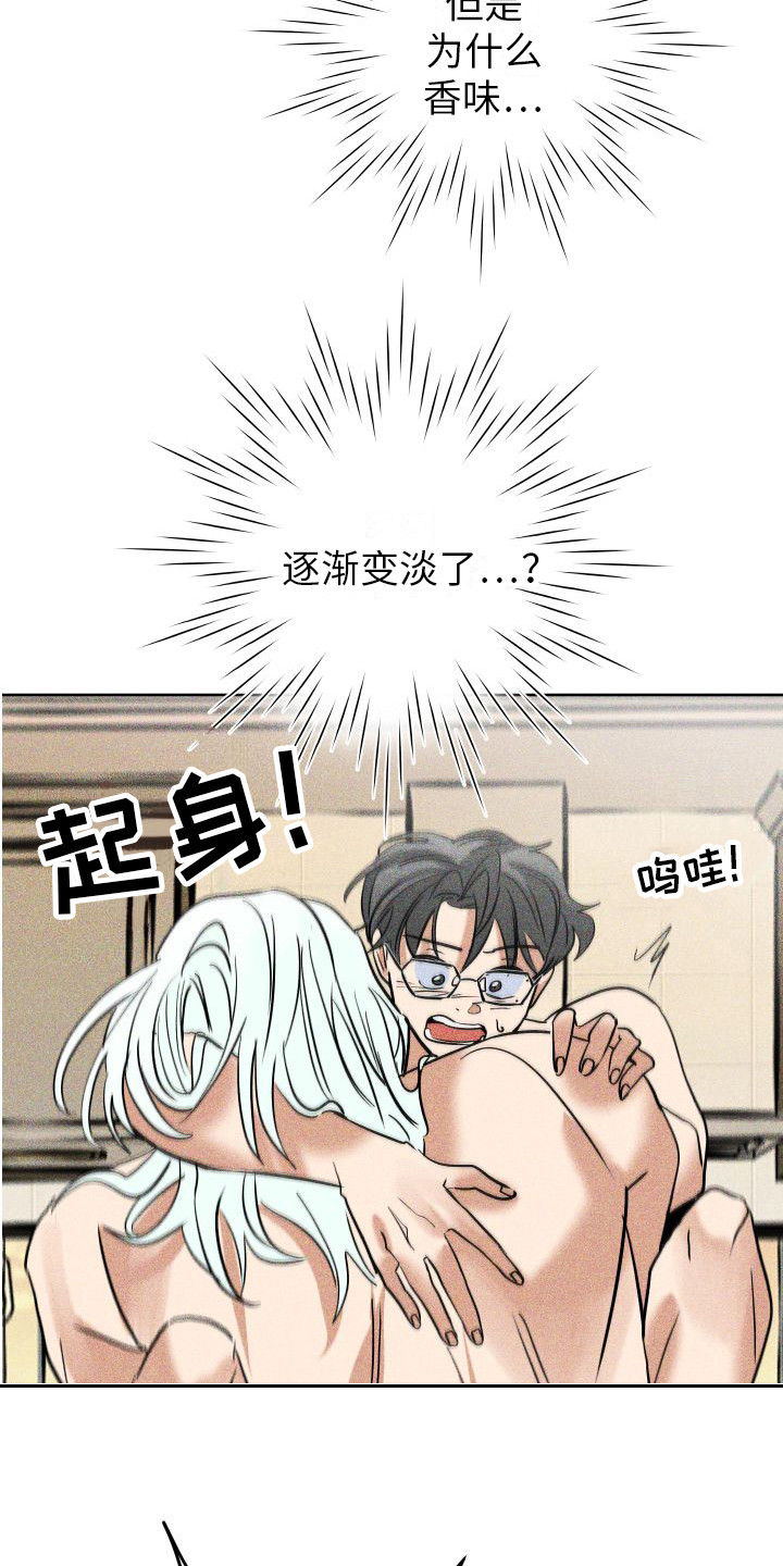 第17章：香味变淡2