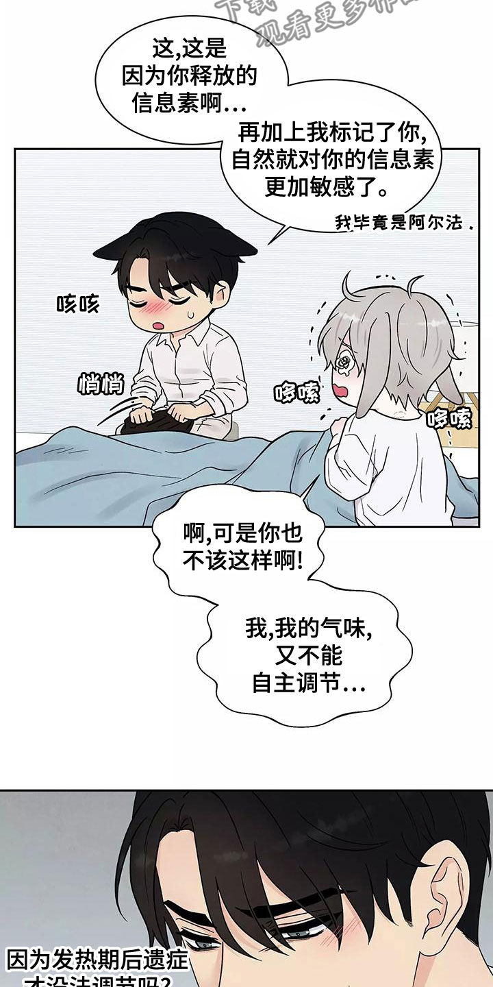 第19章：最好的处方4