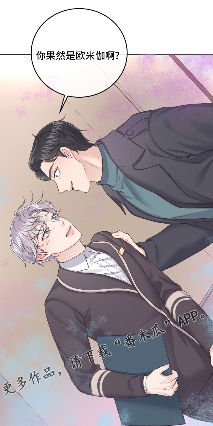 第54章：欧米伽0