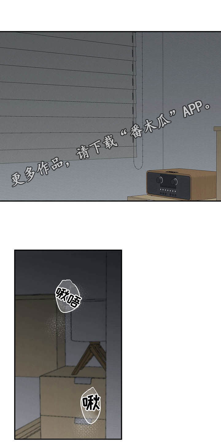 第25章：不能退缩0