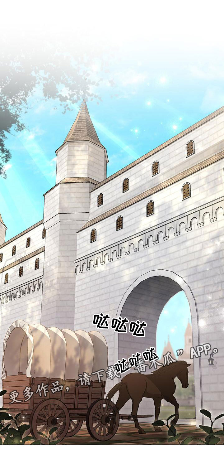 第19章：不是花招0