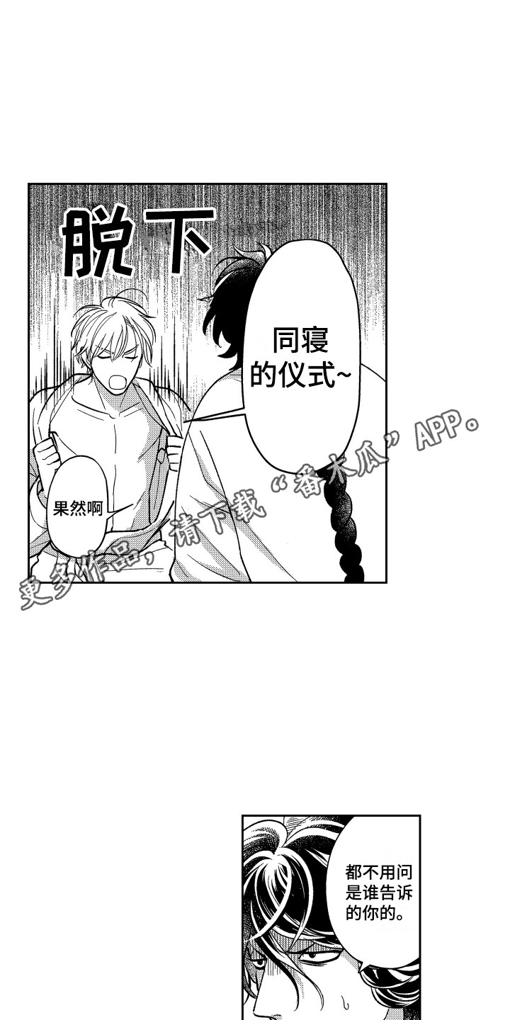 第20章：很主动2