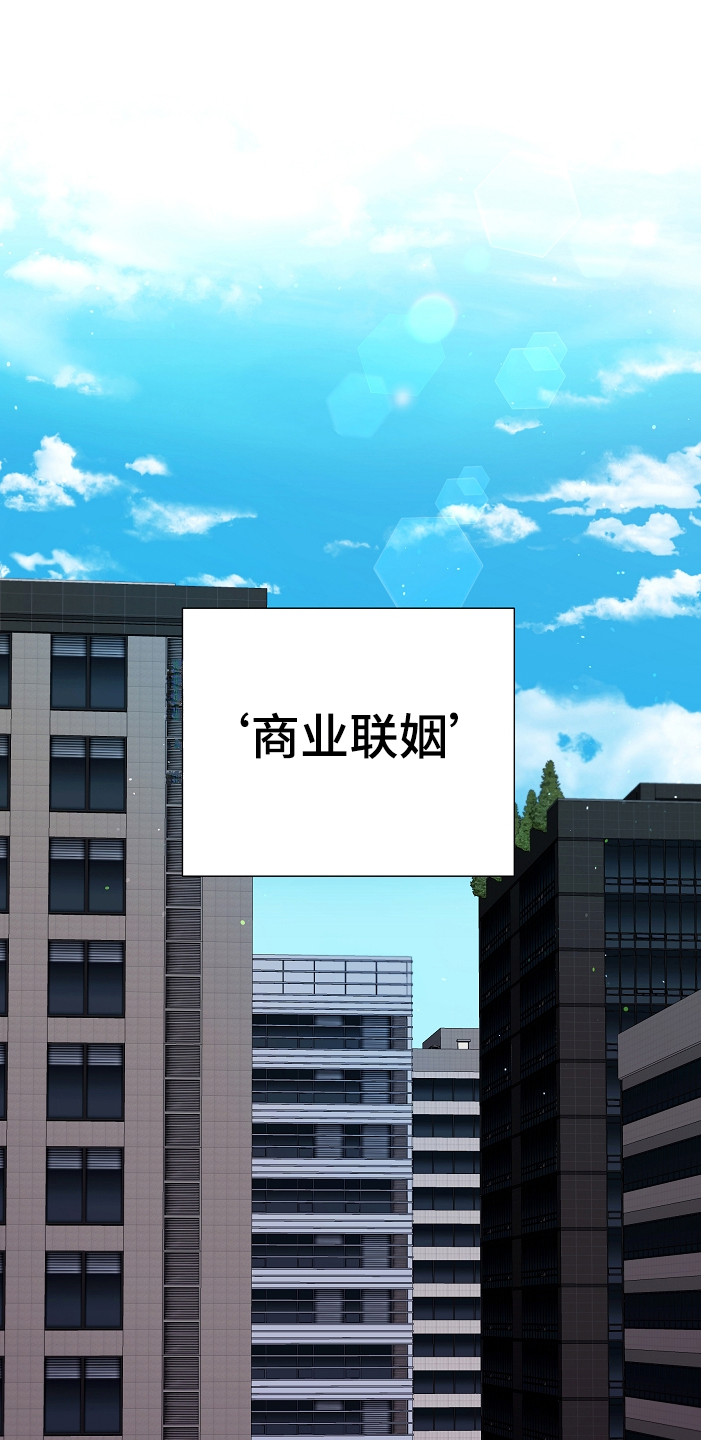 第1章：商业联姻0