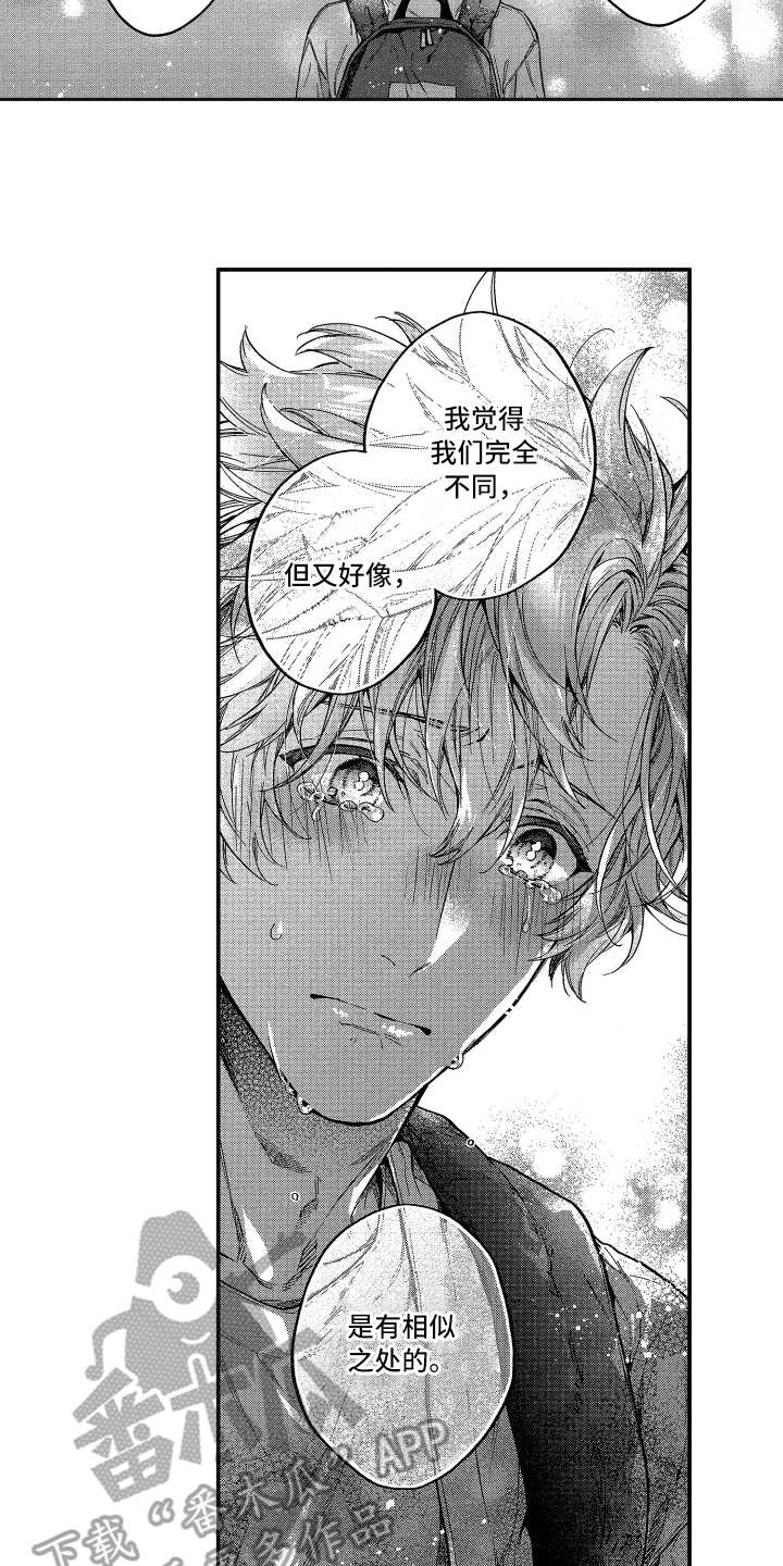 第17章：相似之处1