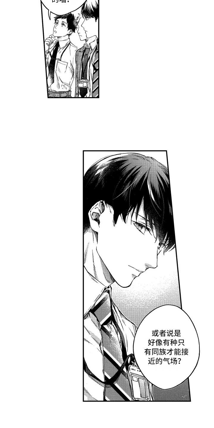 第11章：还不错3