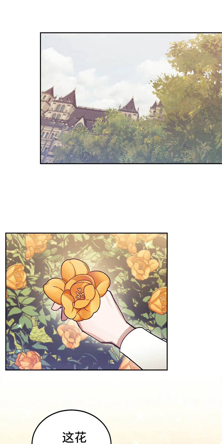 第10章：善解人意0