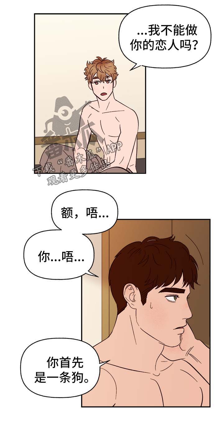 第41章：首先你是只狗2