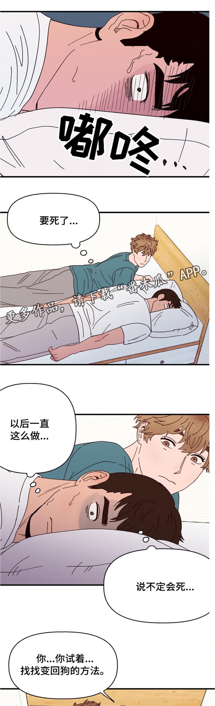 第18章：可爱的坏人4