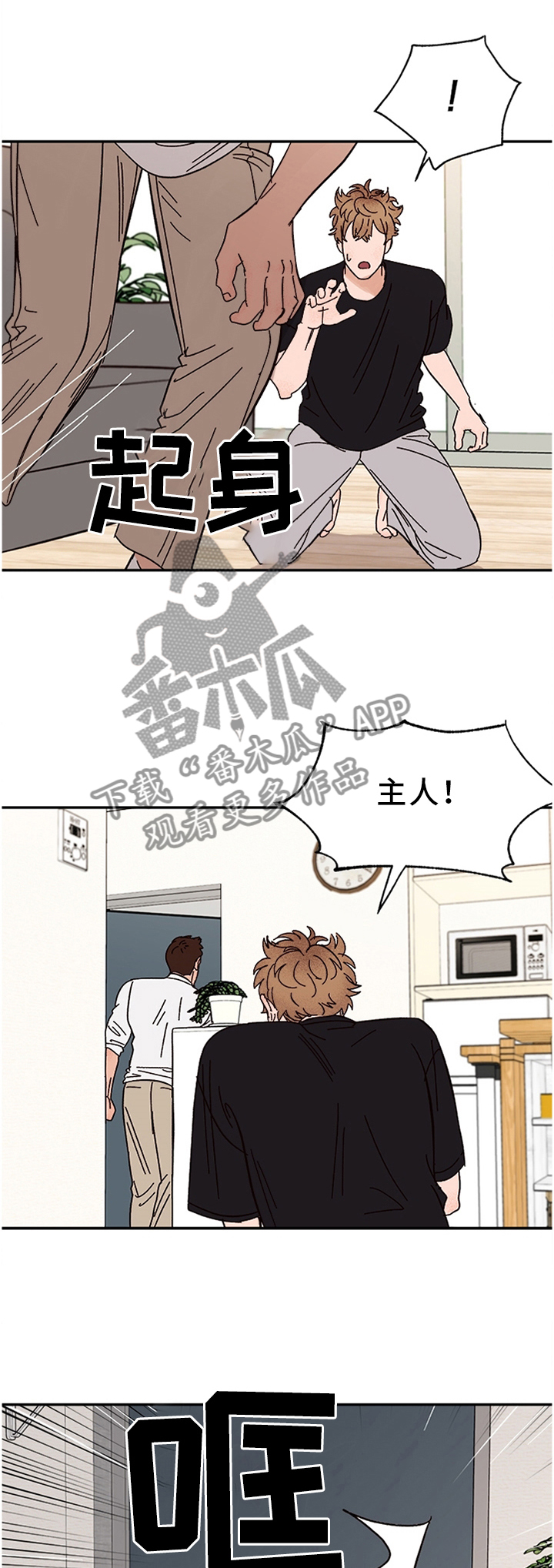 第52章：不该是这样的0