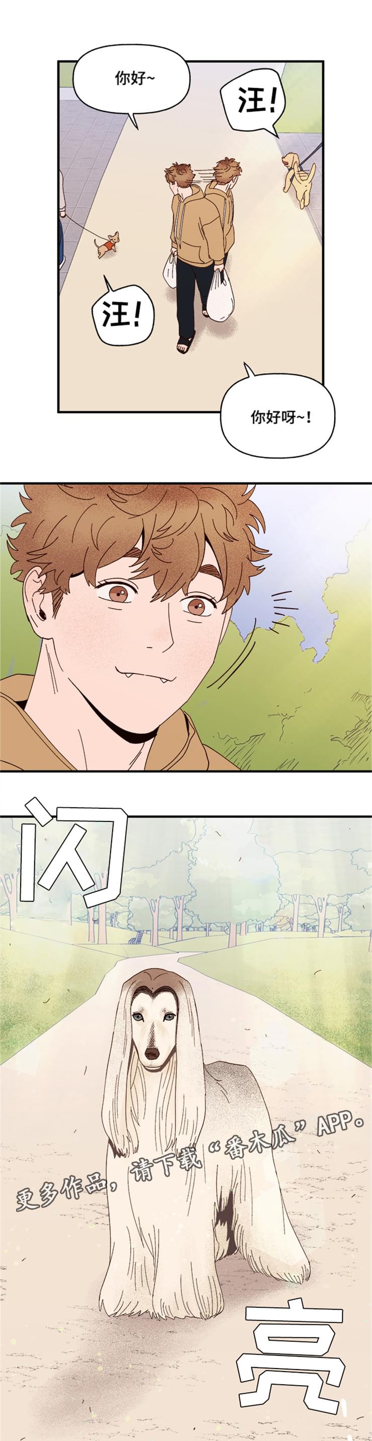 第19章：传说4
