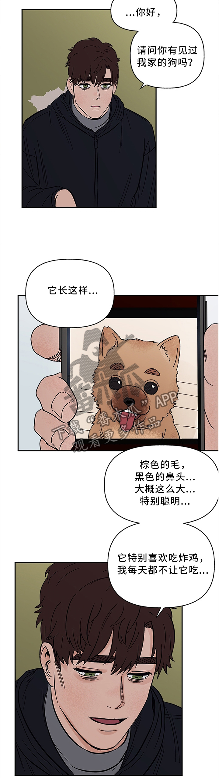 第62章：失去主人的”狗”4