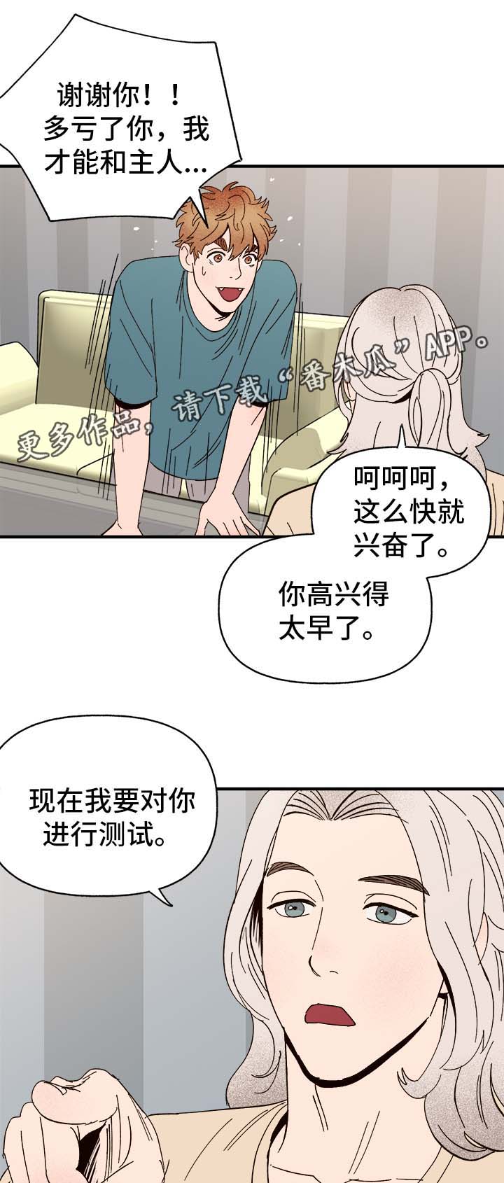 第34章：隐晦2