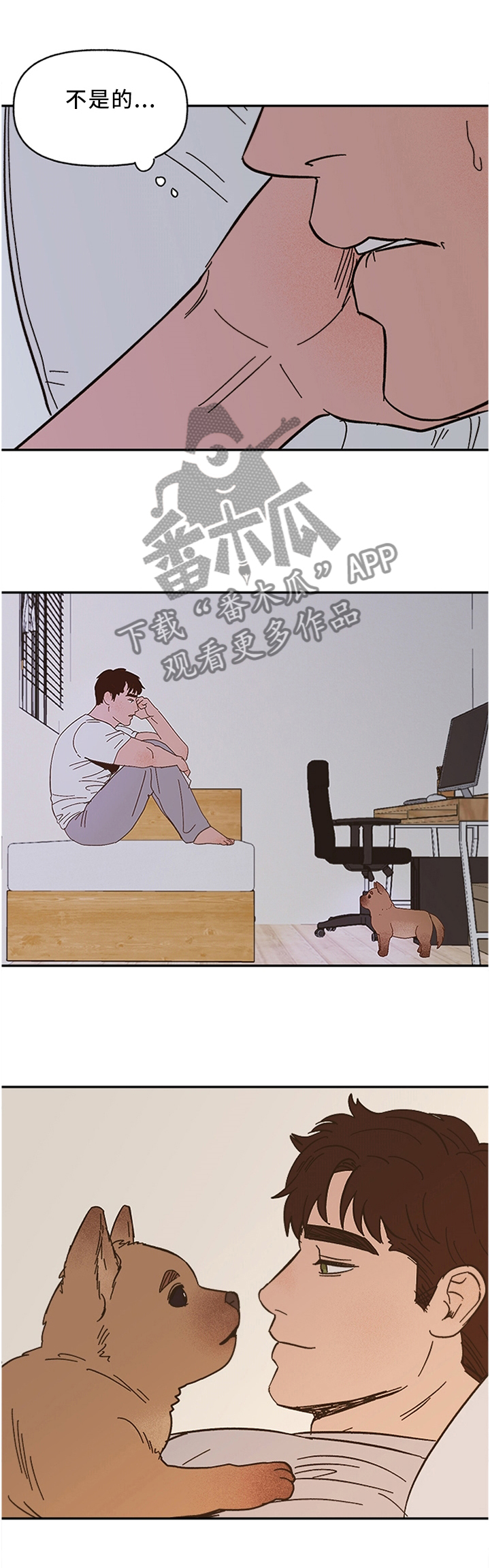 第55章：这样的结果0