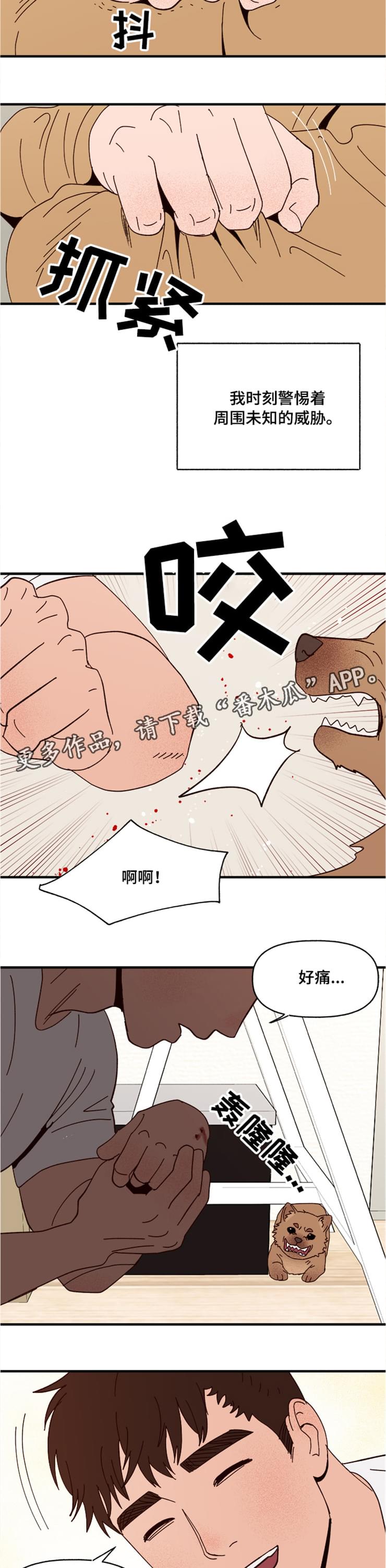 第20章：回忆3