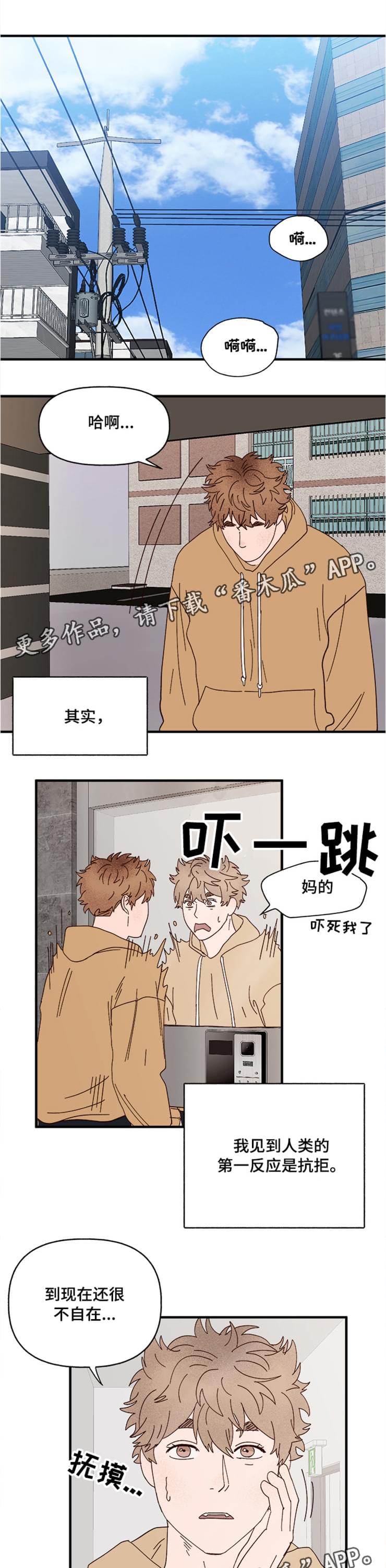 第20章：回忆0