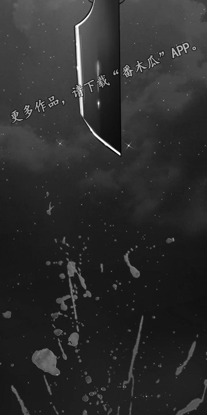 第29章：定义自杀1