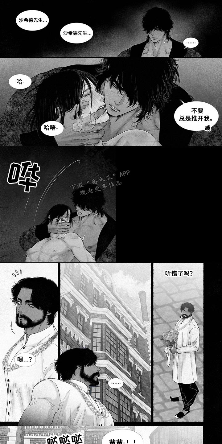 第77章：什么声音3