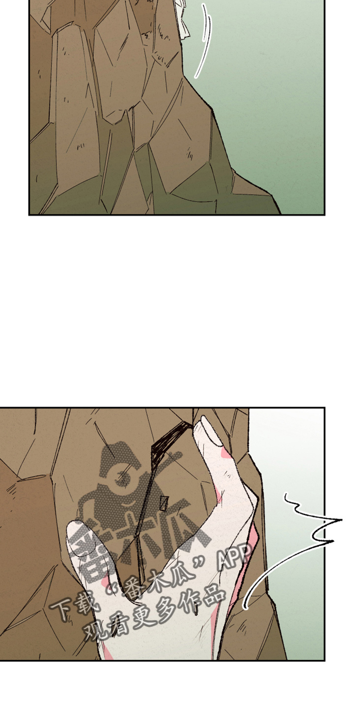 第154章：【第三季番外】是男的2