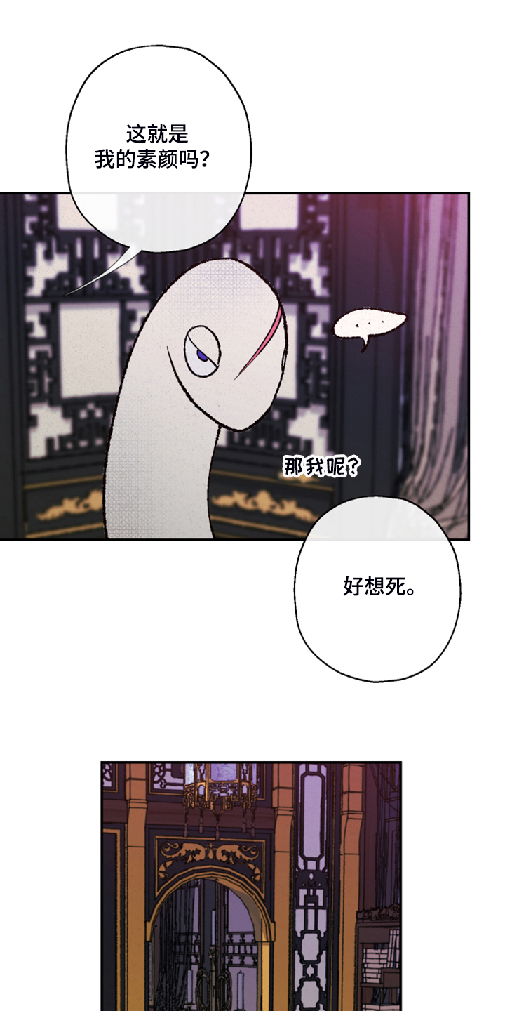 第127章：【第三季】让我看看3