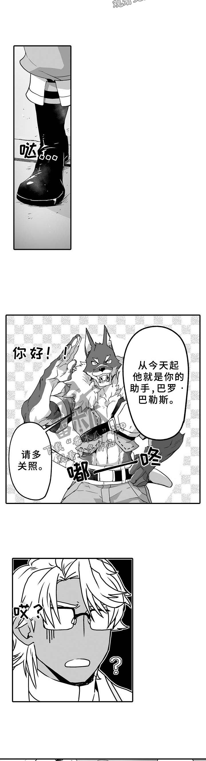 第29章：医生助手1