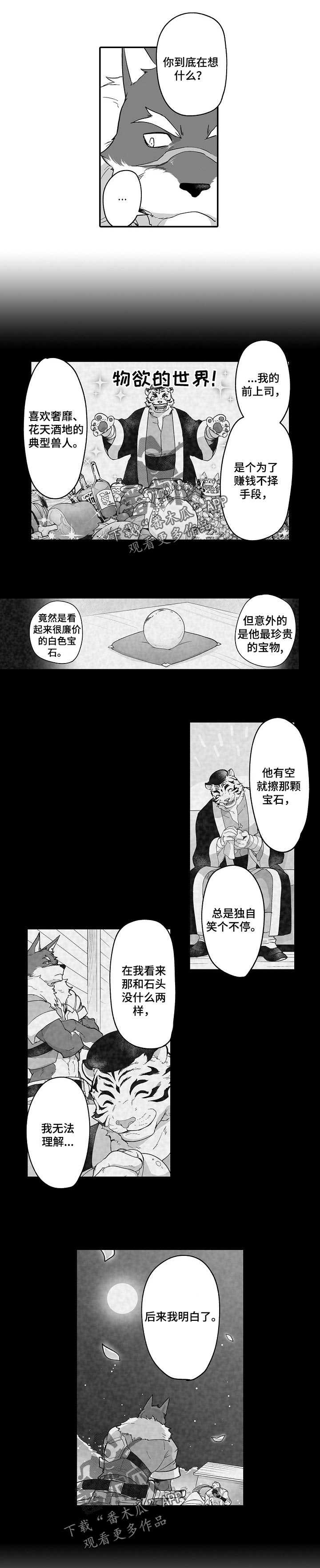 第48章：一直看下去3