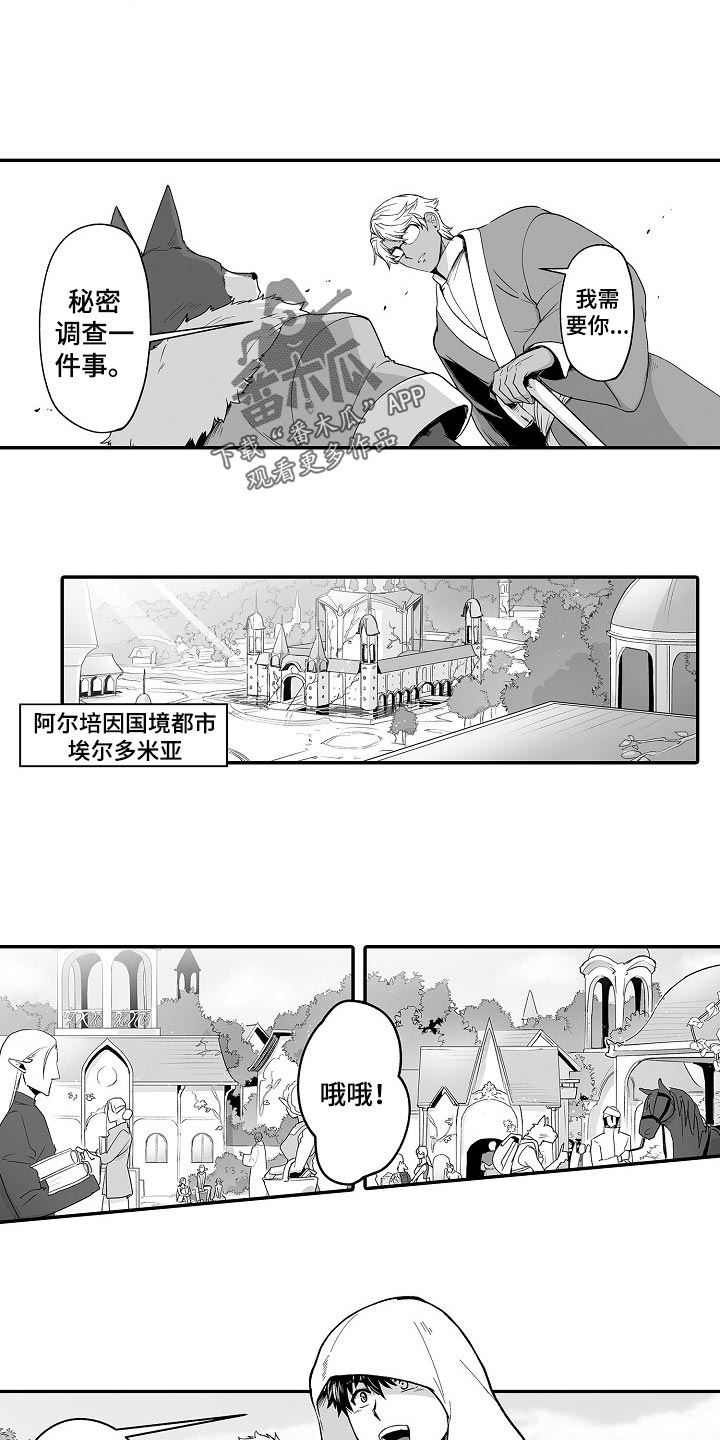 第55章：秘密调查4