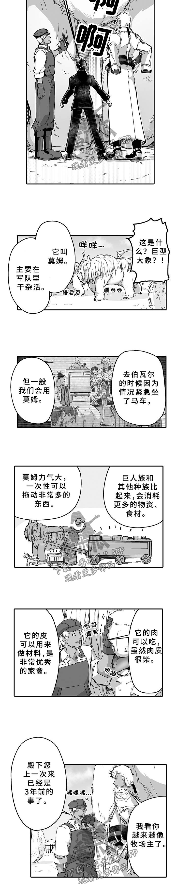 第33章：莫姆1