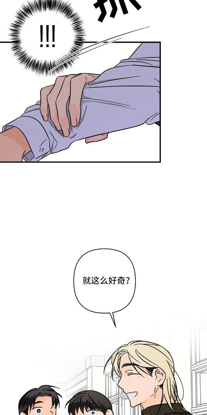 第77章：【番外】尽管问3