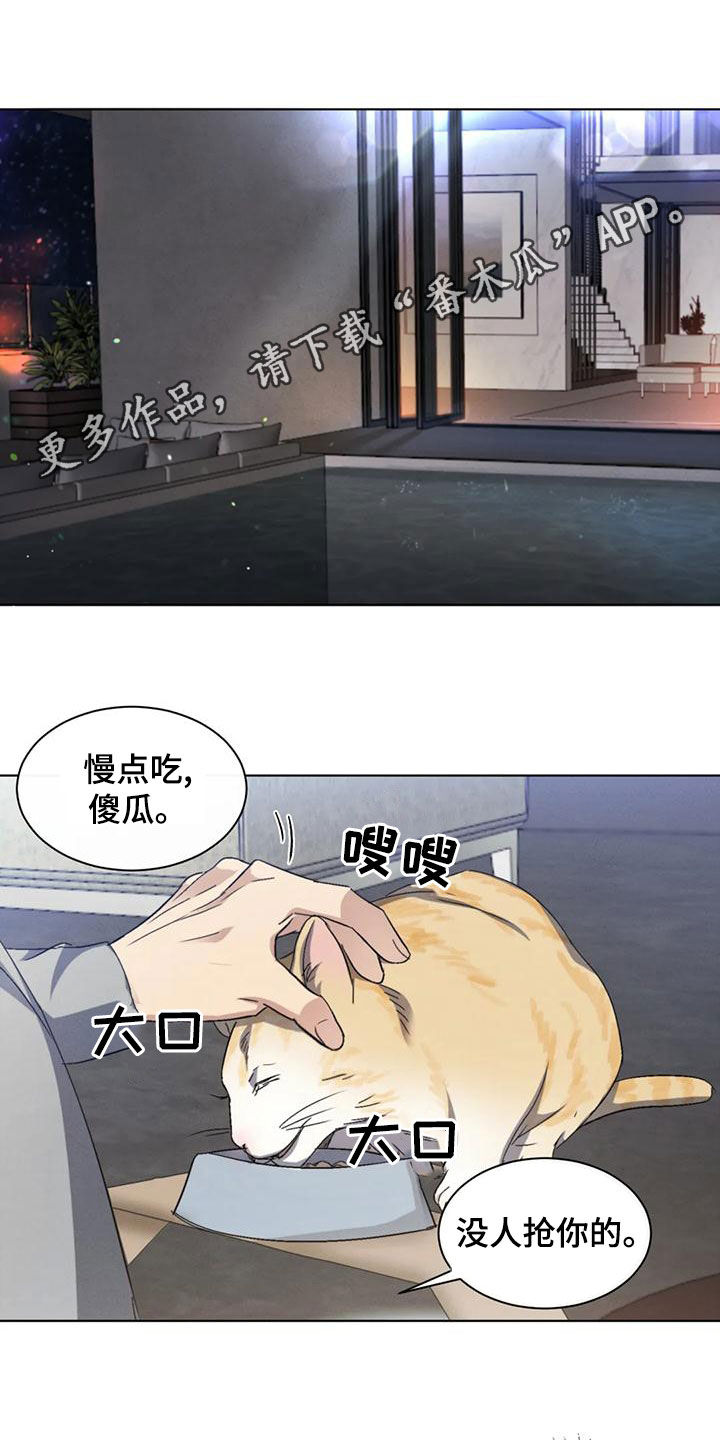 第53章：【第二季】分析0