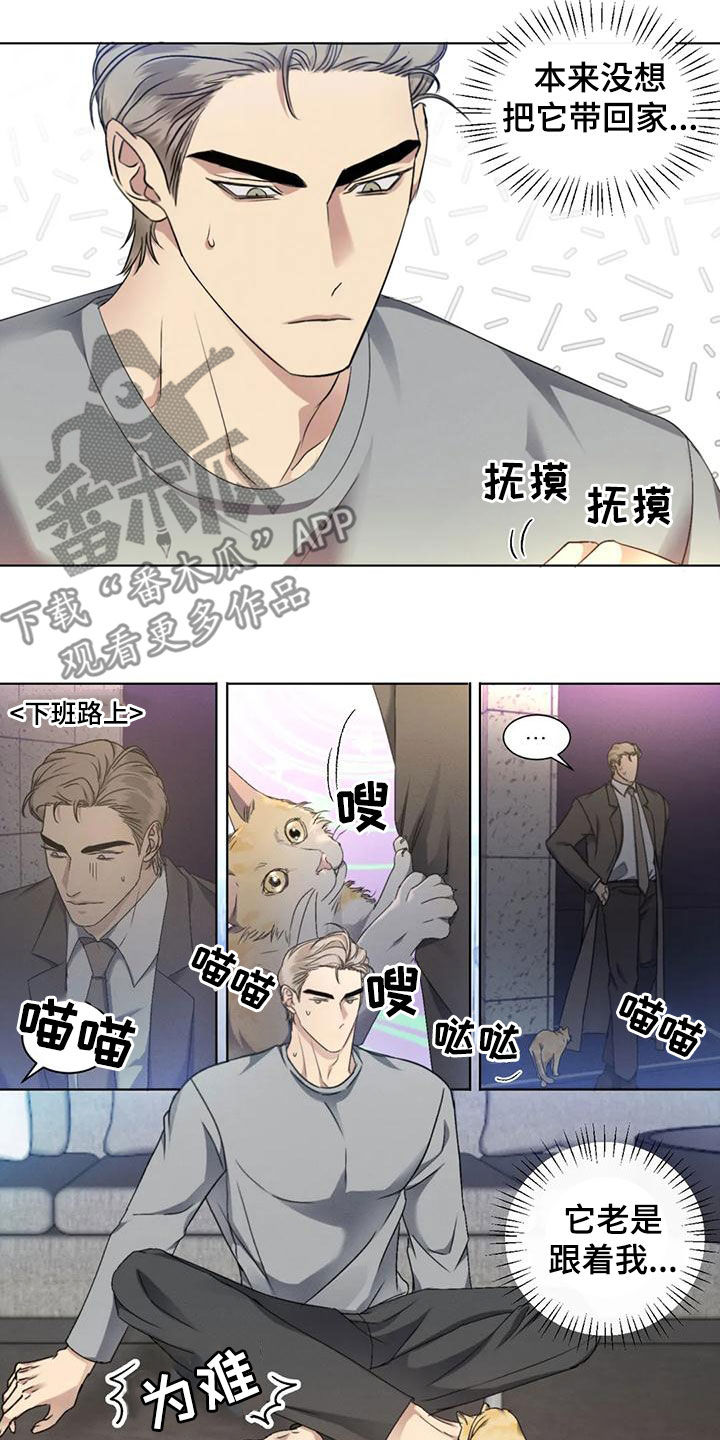 第53章：【第二季】分析1