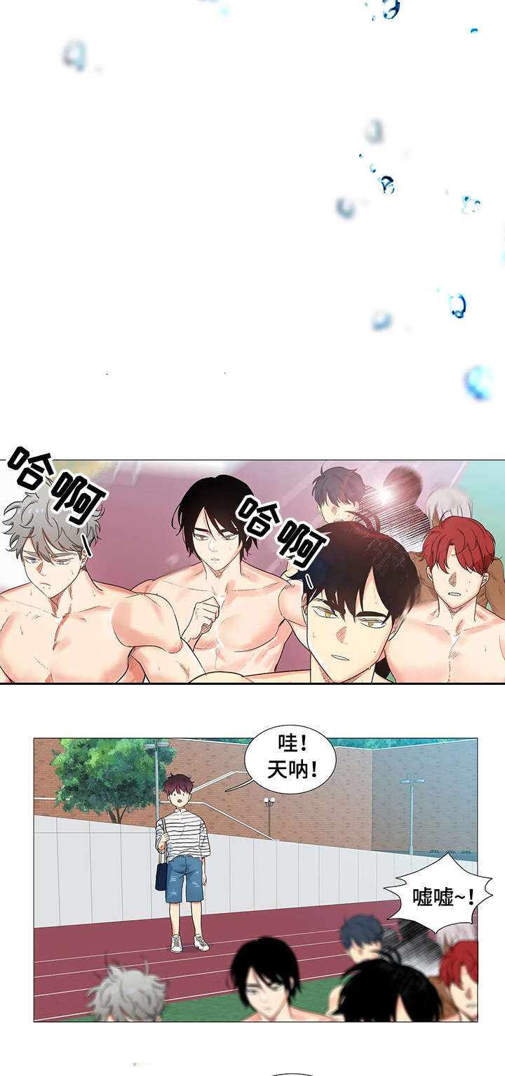 第1章：游泳系1